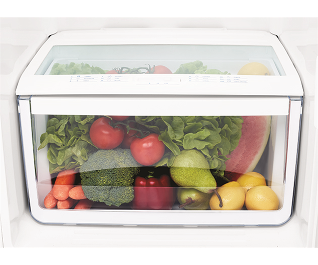 250L Top Mount Refrigerator (WTB2500PF)