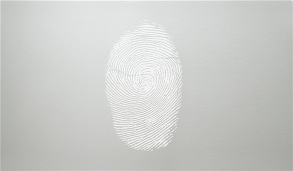 Fingerprint resistant stainless steel